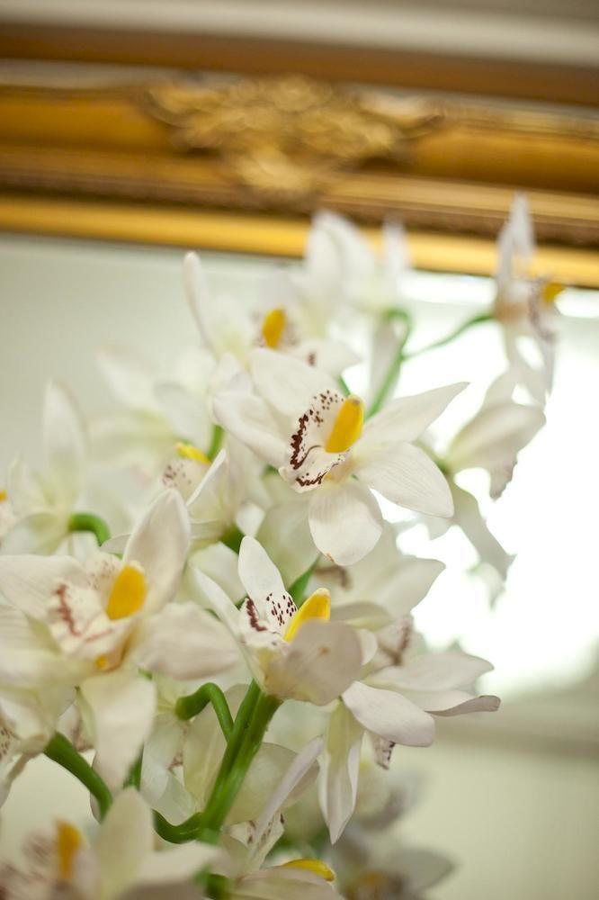 Marignoli Apartment Rom